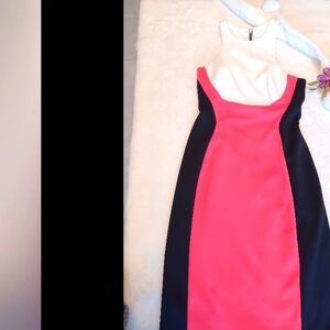 Elegant Colorblock Dress